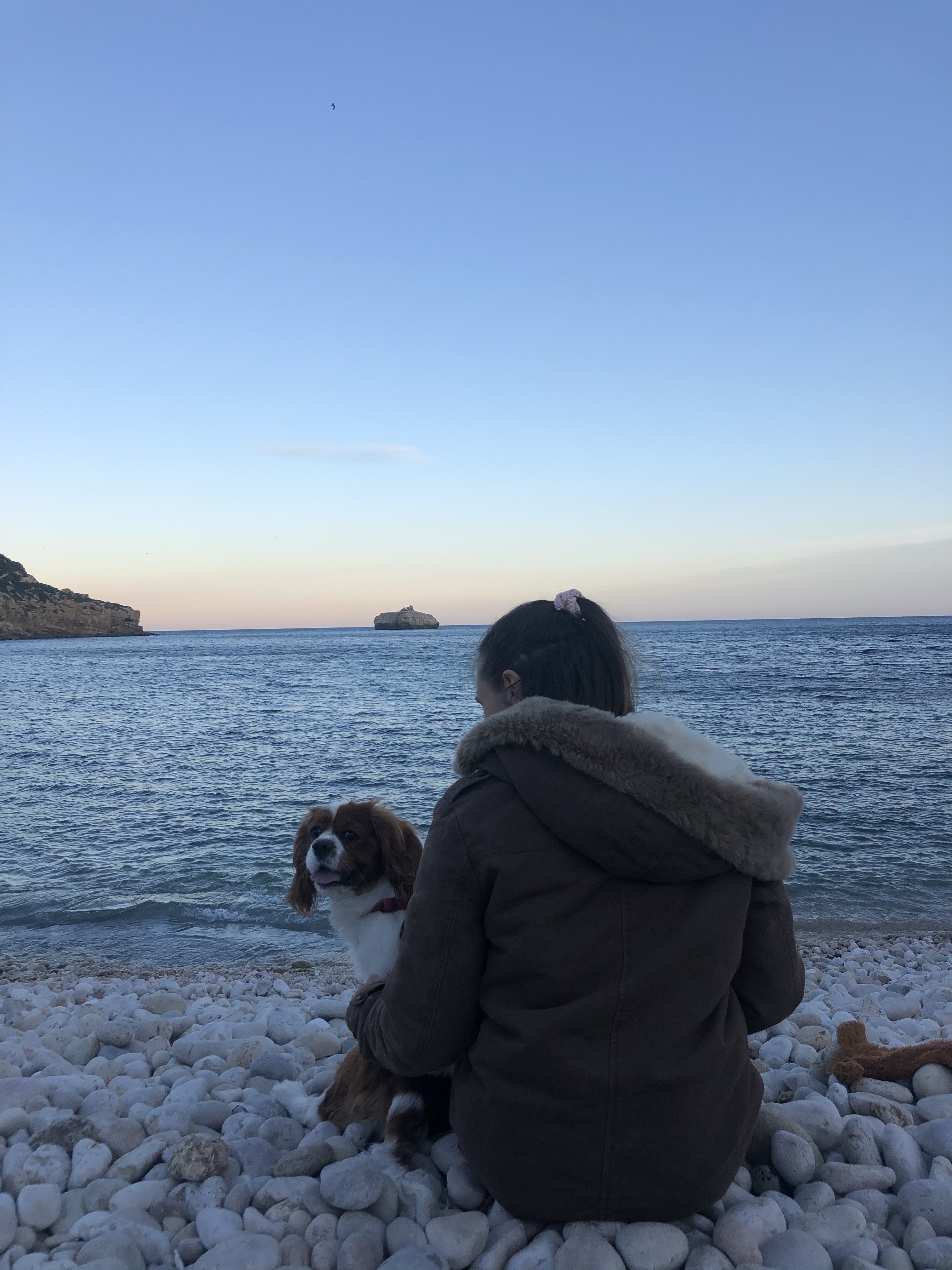 Cavalier on portixol beach Javea 