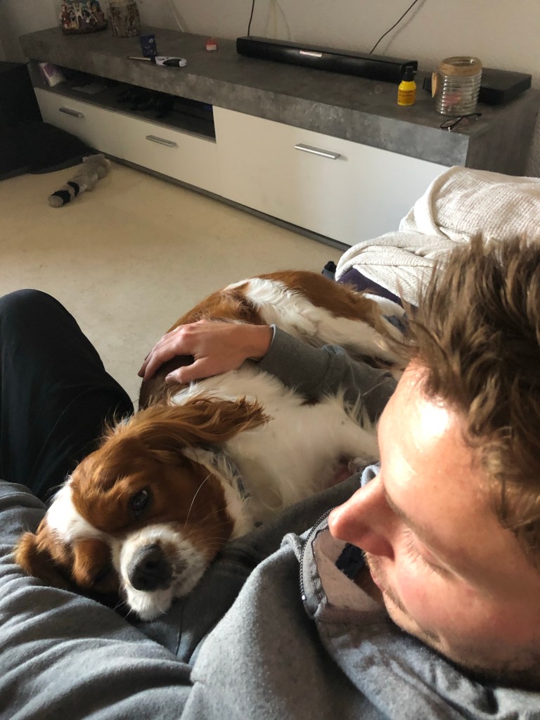 Rio and Alex cuddling on sofa cavalier King Charles spaniel 