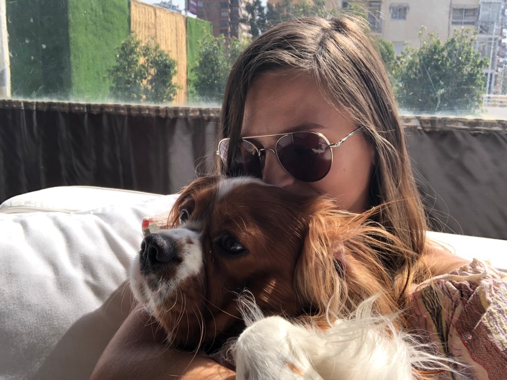 8 Reasons Why Cavaliers Are The Best&nbsp;Dogs