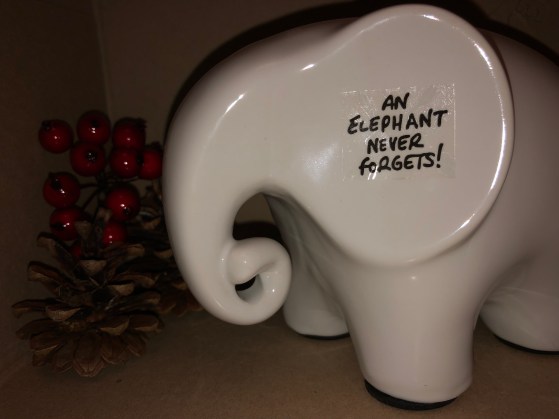 eric the elephant find your gift