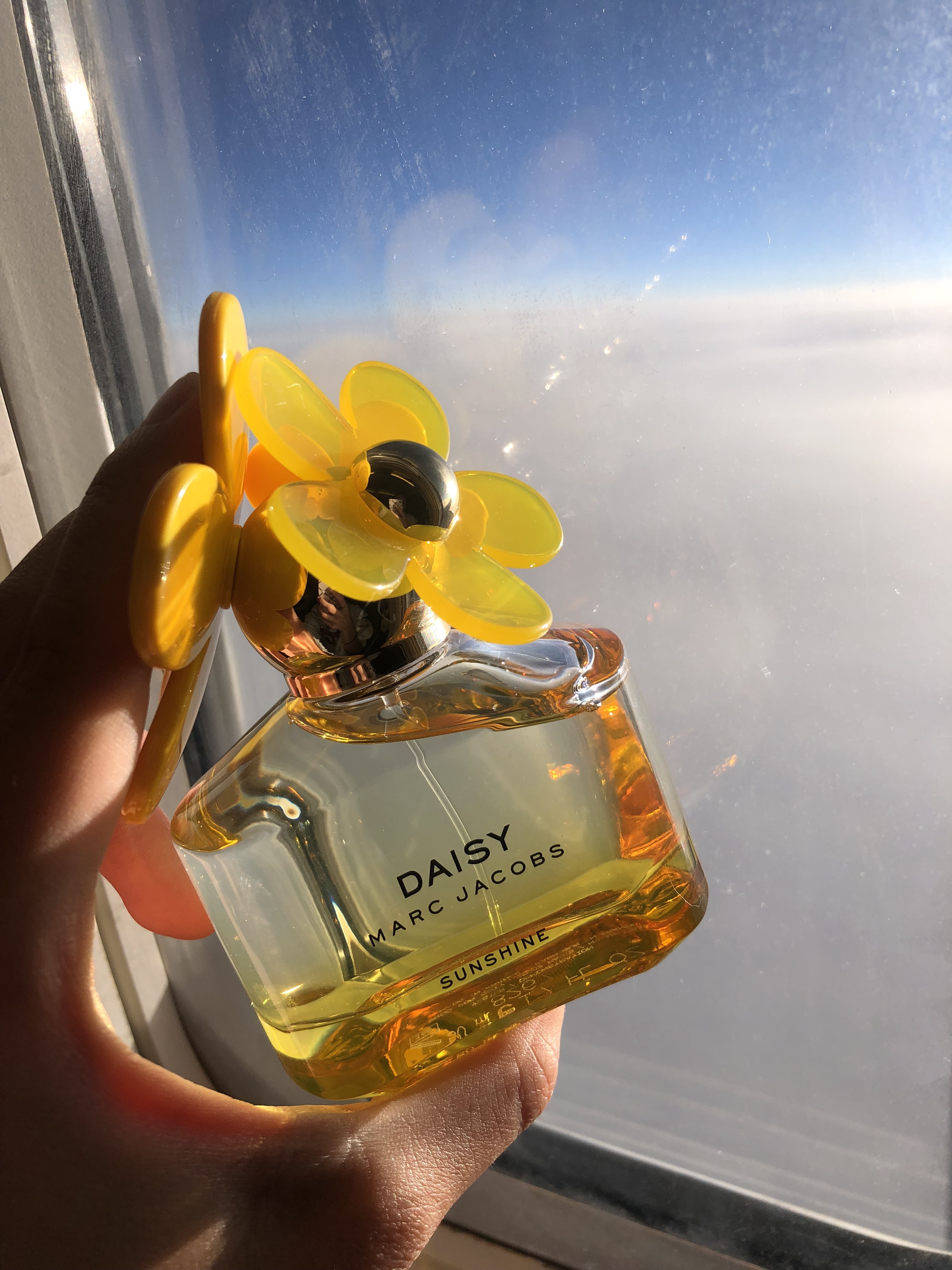 daisy sunshine in the sky