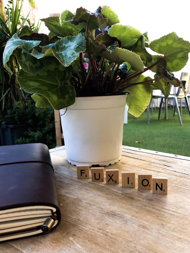 45409151_1453031331495769_7973764182690496512_n