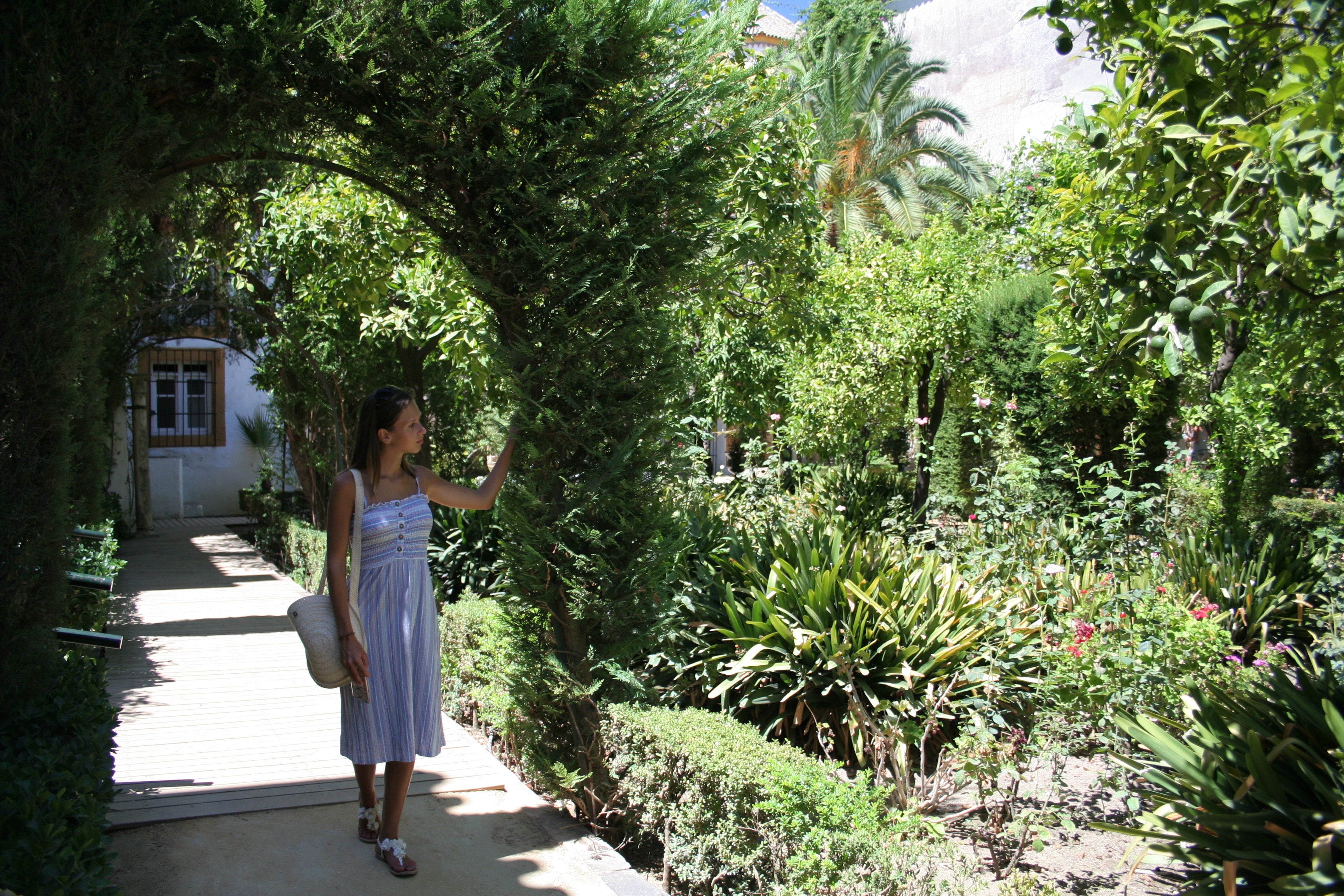 Walking around palacio de las dueñas Seville 