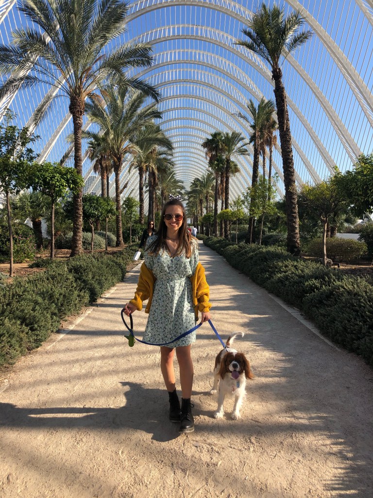 Walking with my dog through the park at Valencia 