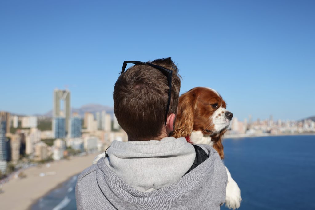 Alex and rio benidorm looking out 