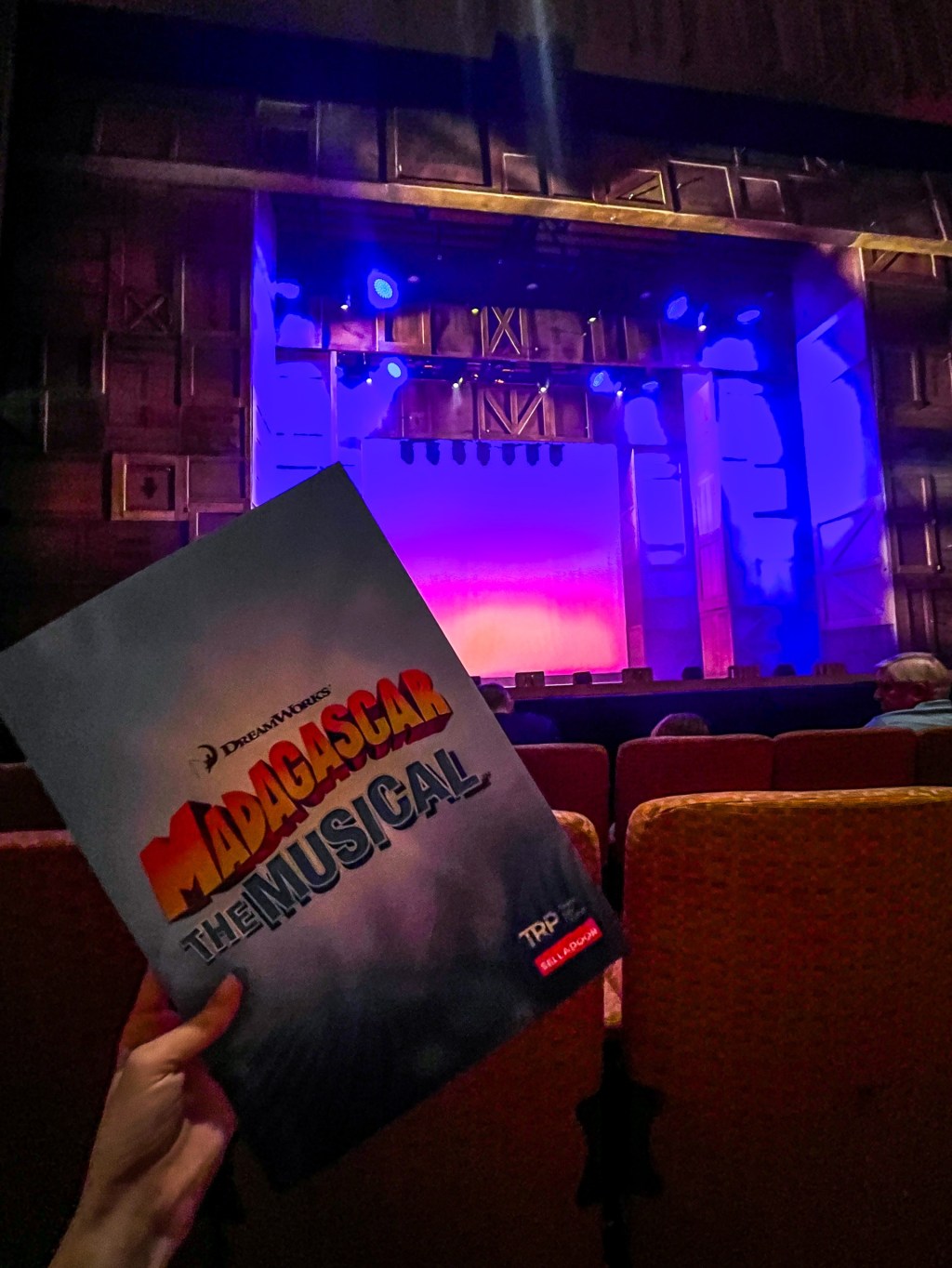 Madagascar: The Musical Review at New Theatre,&nbsp;Peterborough