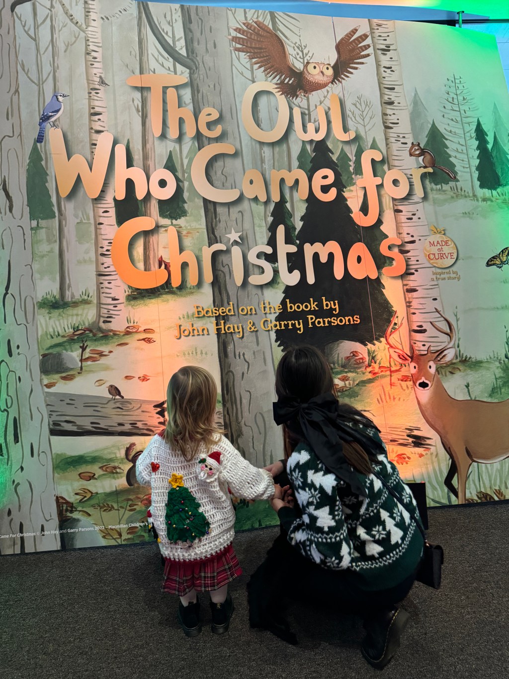 The Owl Who Came For Christmas (2023). Curve Theatre Review