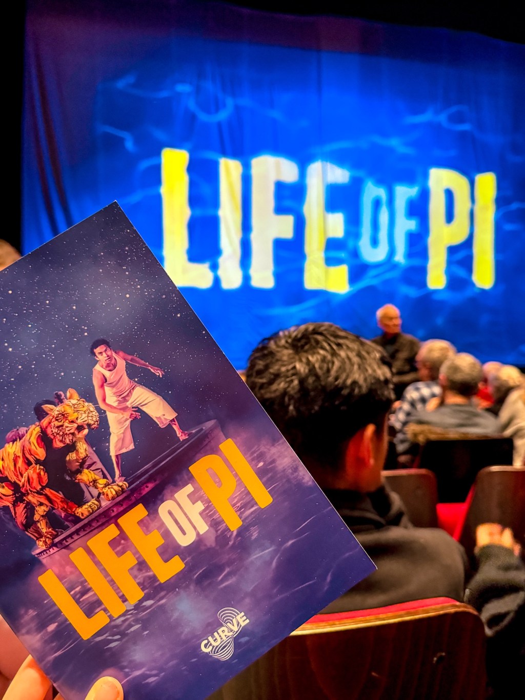 Life of Pi Review, Curve&nbsp;Leicester