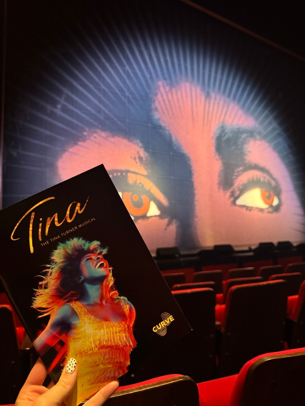 Tina – The Tina Turner Musical at Curve,&nbsp;Leicester